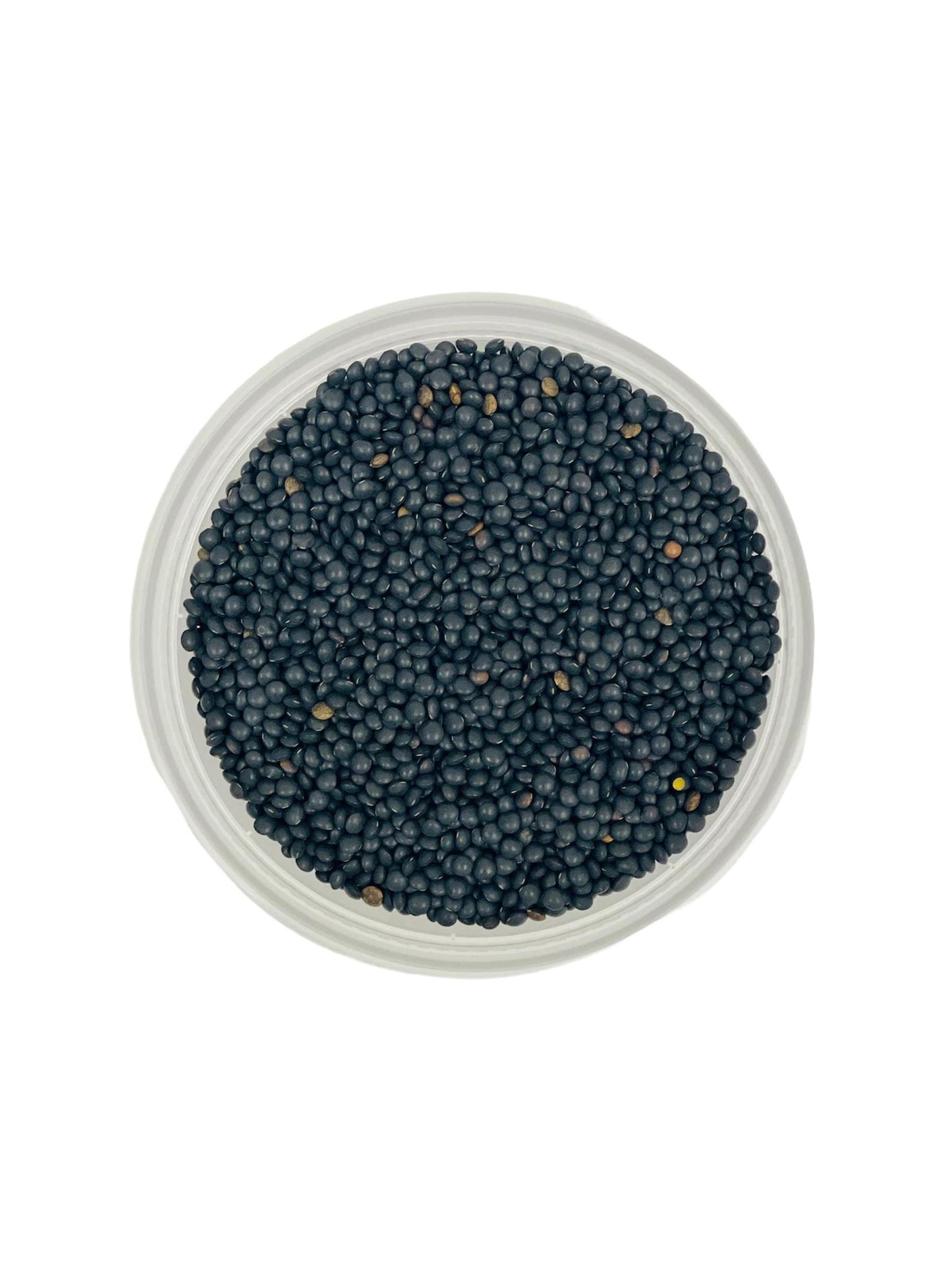 French Black Beluga Lentils, 14 oz