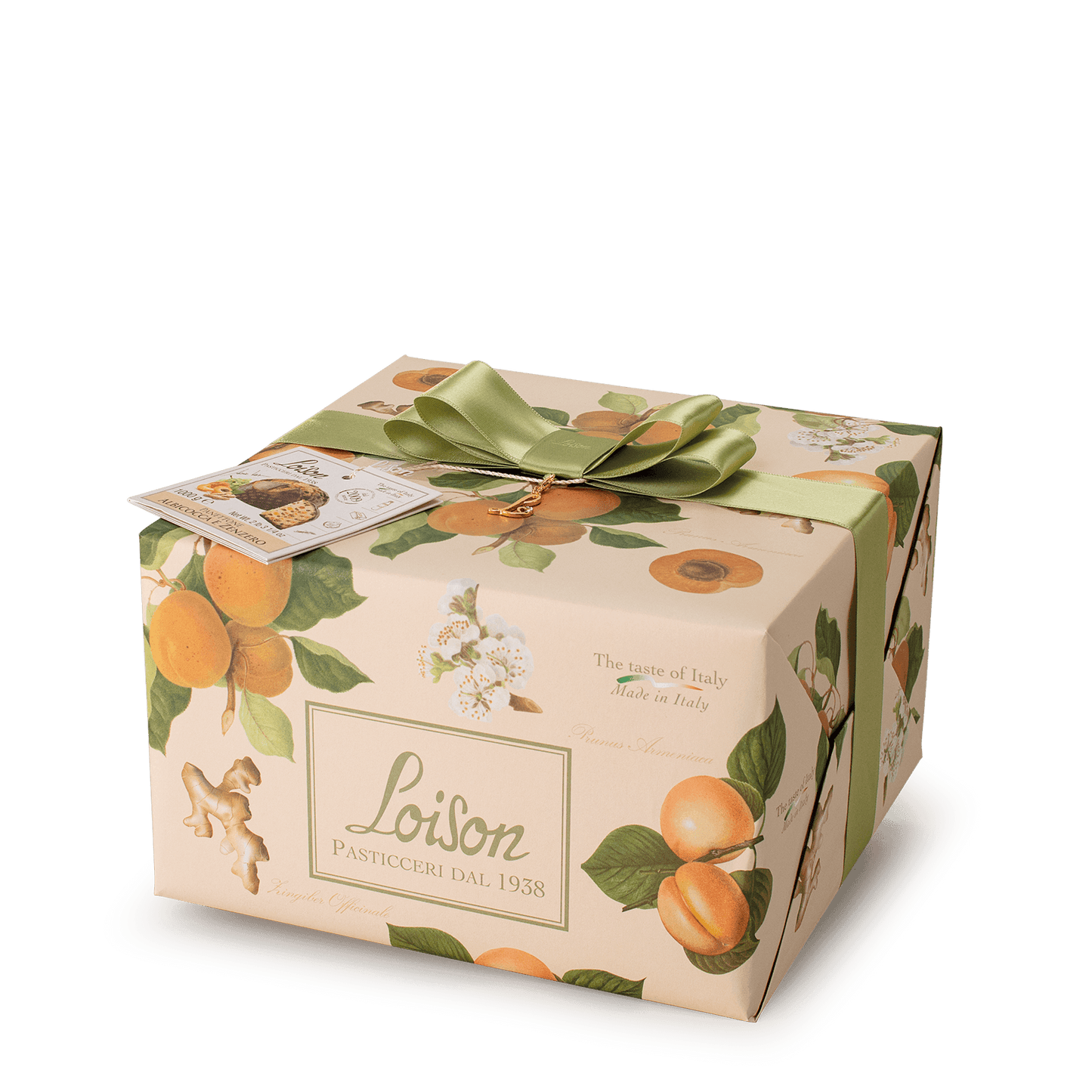 Loison Panettone Albicocca e Zenzero (Apricot & Ginger), 1 lb 3/5 oz